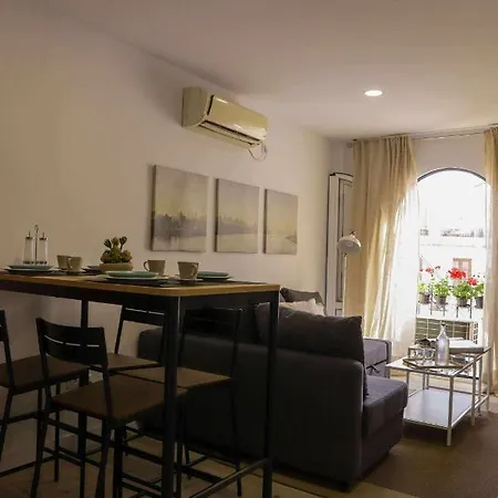 Apartment Calle Abades Centro De